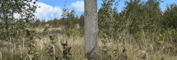 Wilderer erschießen die Förster Gies und Steinsträter